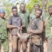 Buffalo killed in Mole National Park: 2 Poachers arrested