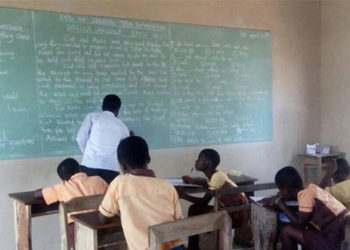 Trainee teachers to feed themselves