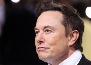 Elon Musk puts Twitter deal on hold over fake account details