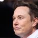 Elon Musk puts Twitter deal on hold over fake account details