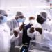 Africa's first Covid vaccine plant risks closure