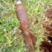 Kenyans mistake colonial-era bomb for root vegetable