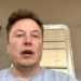 YouTube accused of not tackling Musk Bitcoin scam streams
