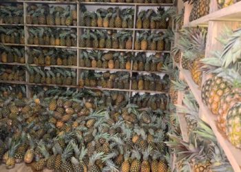 a-t-cooke-fruits-starts-mini-factory-in-cape-coast