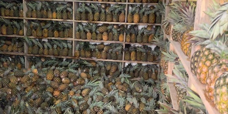 a-t-cooke-fruits-starts-mini-factory-in-cape-coast