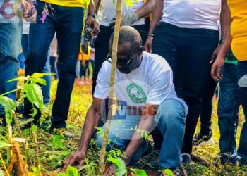 UCC commences planting of 1. 5 million trees to promote a greener UCC