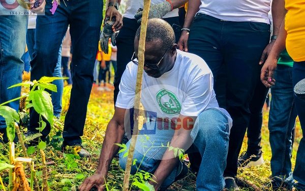 UCC commences planting of 1. 5 million trees to promote a greener UCC