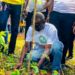 UCC commences planting of 1. 5 million trees to promote a greener UCC