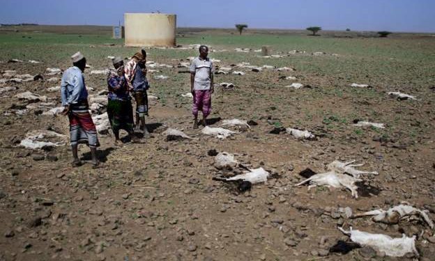 Four million at risk amid Kenya food crisis - UN