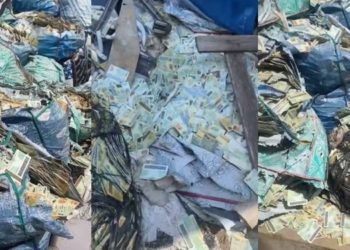 NIA reacts to viral video on ‘abandoned’ Ghana cards