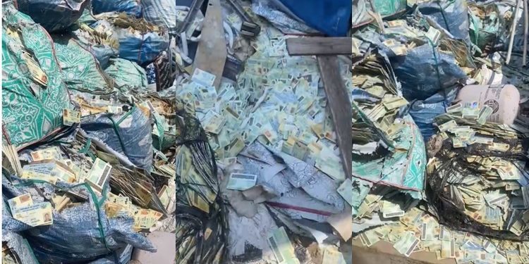 NIA reacts to viral video on ‘abandoned’ Ghana cards