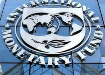 IMF: Finance Prof. calls for a cut down on government’s expenditure