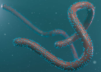 Ghana records 2 suspected cases of Marburg virus disease