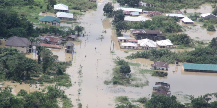 50 killed and many displaced in northern Nigeria flooding