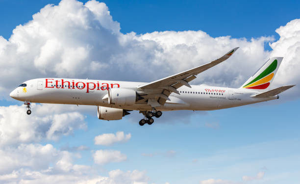 Ethiopian Airlines pilots overshoot runway after falling asleep