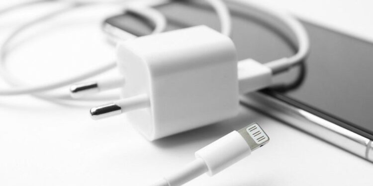 Brazil bans sales of iPhones without USB power adapters