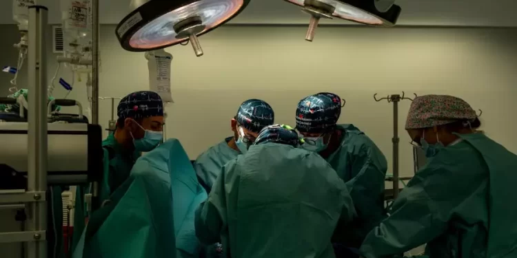 Uganda gives green light to organ transplants