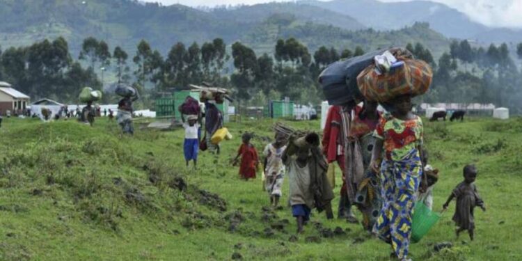 Thousands displaced as fighting flares in DR Congo