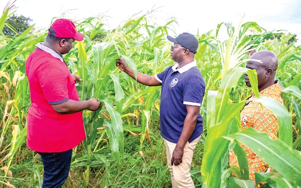 NSS projects bumper harvest of crops