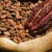Farmers threaten to smuggle cocoa if prices of produce does not go up further