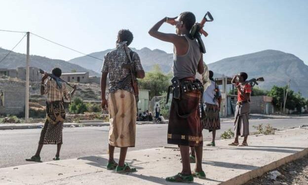 WHO calls for 'urgent' Tigray access to save lives