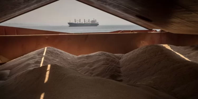 Ukraine war: Grain deal continues despite Russia pull-out