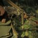 DR Congo rebel forces kill two, kidnap 10 others