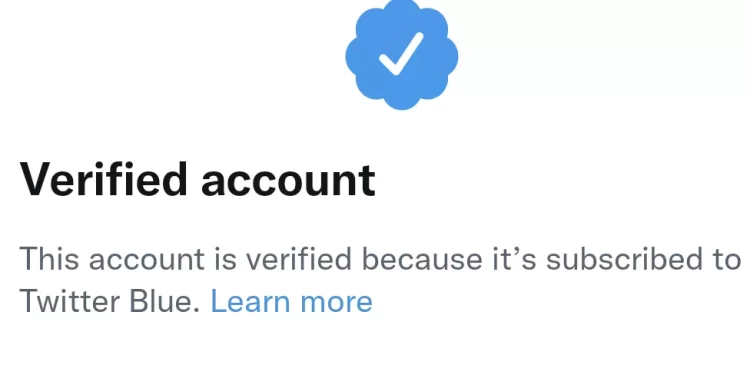Twitter's paid blue tick re-launches after pause