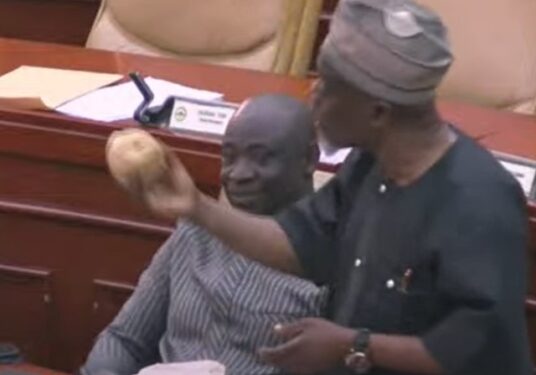 A. B. A Fuseini takes kenkey and fish to Parliament to show ‘true state of economy’