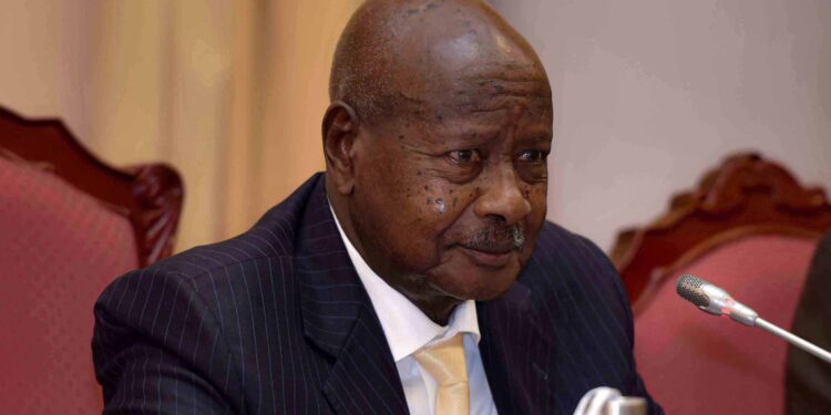 Museveni posts wrong Rwenzori Mountains photo on Twitter