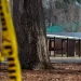 Schools chief fired after boy, 6, shoots teacher in Virginia