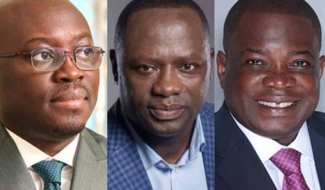 Profile of new Minority Leadership in Parliament