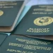 About 30,000 uncollected printed passports at Passport Application Centres