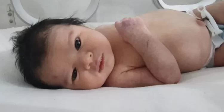 Turkey-Syria earthquake: Thousands offer to adopt baby pulled from the rubble