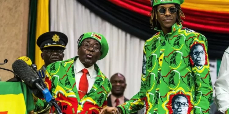 Robert Mugabe's son arrested in Zimbabwe over cars trashed at Harare party