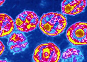 5th person confirmed to be cured of HIV