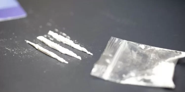 Cocaine production reaches record levels