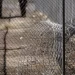 Australian boy, 13, spent six weeks in solitary confinement