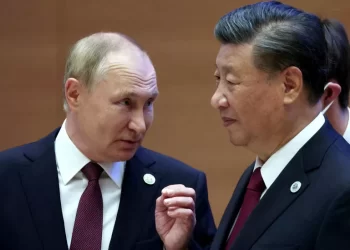 China's Xi to meet Putin in Moscow next week