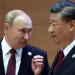 China's Xi to meet Putin in Moscow next week