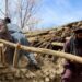 Earthquake in Pakistan and Afghanistan kills 19