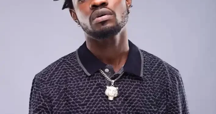 Fuel station sold diluted petrol to me, now my car is spoilt - Fameye cries