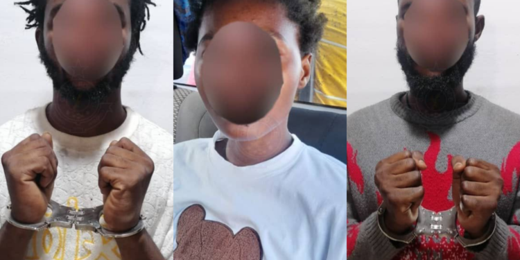 12 cyber fraudsters arrested; 973 fake accounts of MPs, Ministers closed