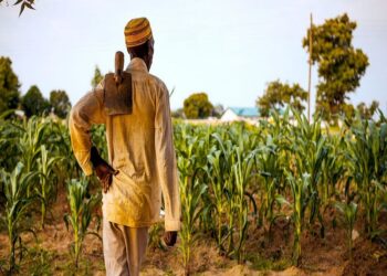 Smallholder farmers advised to take central role in social change