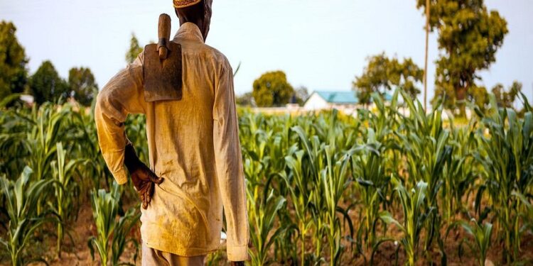 Smallholder farmers advised to take central role in social change