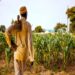 Smallholder farmers advised to take central role in social change
