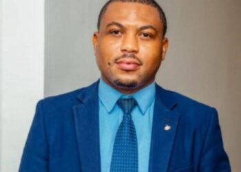 SIM Cards theft is due to vulnerabilities in the System-Expect asserts