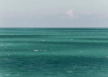 Forty-one bodies found at sea after migrant deaths