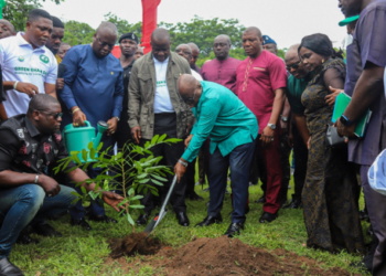 Government approves ₵2.5m for Green Ghana Day celebration