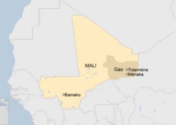 Jihadist group takes over village in northern Mali
